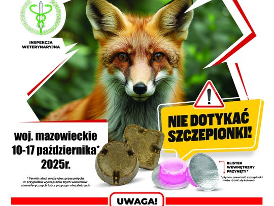 Akcja szczepienia lisów przeciwko wściekliźnie