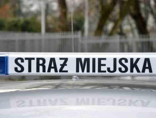 Chcieli uspokoić pijanego klienta, a interweniowali też wobec ekspedientki