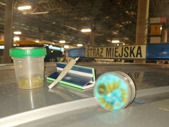 Chcieli zapalić marihuanę przy pętli Młociny