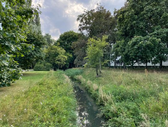 Co z potokiem na Chomiczówce? Radny reaguje