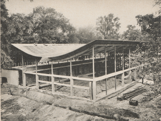 Dachy, które miały unosić się wśród drzew. O architekturze hal AWF Dachy, które miały unosić się wśród drzew. O architekturze hal AWF