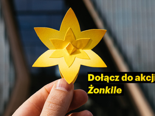 Dołącz do Akcji Żonkile – poszukiwane wolontariuszki i wolontariusze