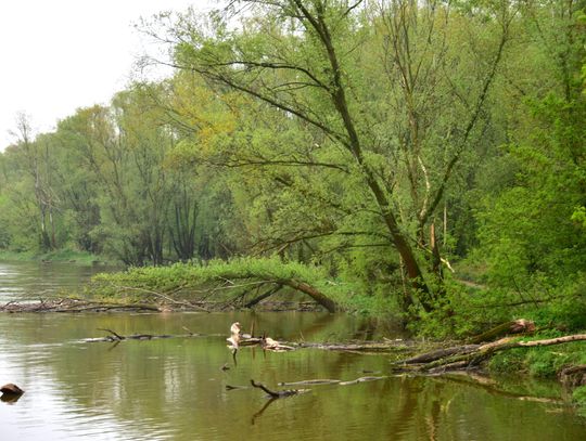 EkoWyprawy: Międzynarodowy korytarz ekologiczny