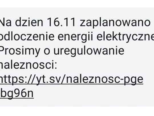 Internetowe oszustwa coraz częstsze. Jak się nie dać zrobić w konia?