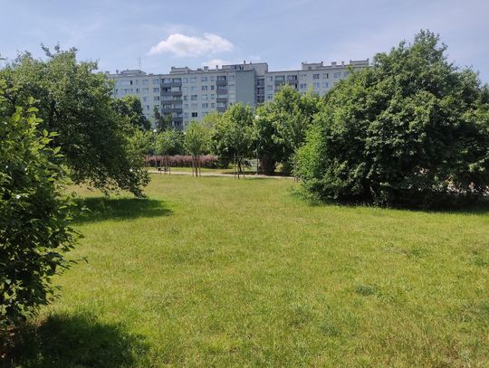 Kino na Chomiczówce wraca! Letnie seanse pod gołym niebem