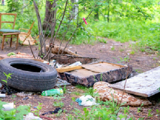 Las nie zapomina – śmieci zostają na pokolenia