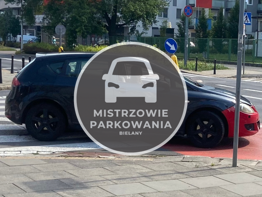 Mistrzowie Parkowania #11 - należy się mandat!