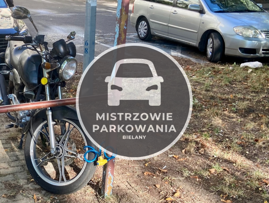 Mistrzowie Parkowania #16 - Mandaty na Rudzie