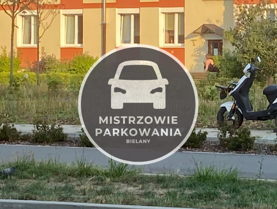 Mistrzowie Parkowania #19 - trzeba interweniować!