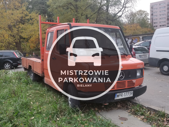 Mistrzowie parkowania #33