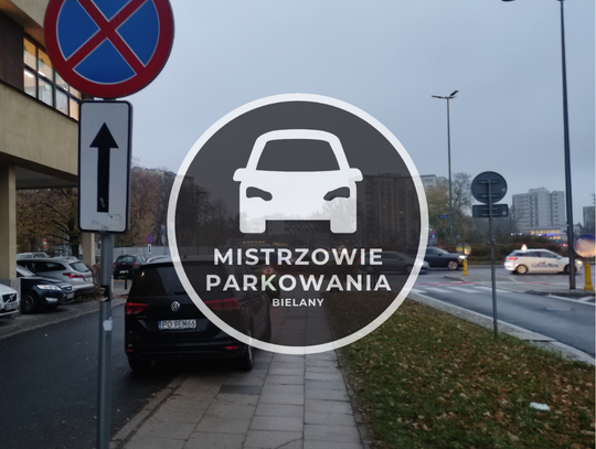 Mistrzowie parkowania #34