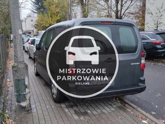 Mistrzowie parkowania #35