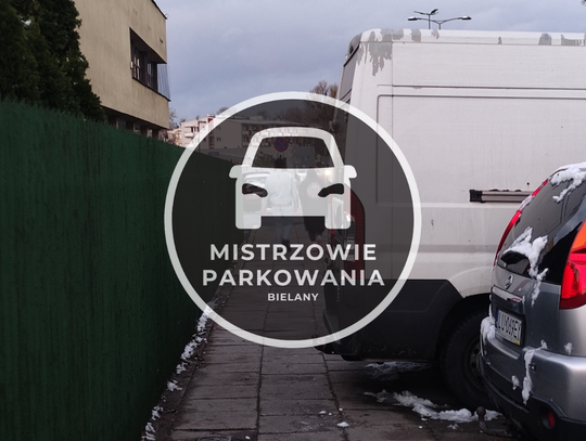 Mistrzowie parkowania #36