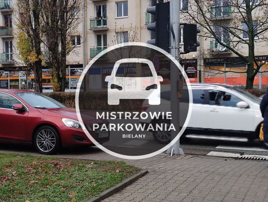 Mistrzowie parkowania #37