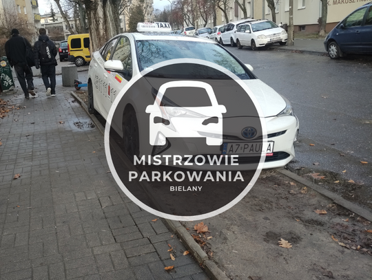 Mistrzowie parkowania #42