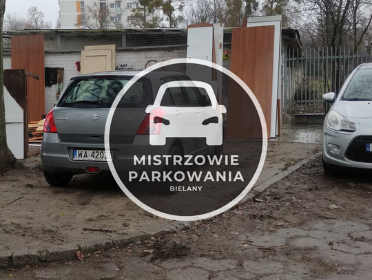 Mistrzowie parkowania #43