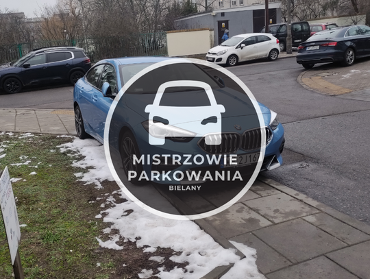 Mistrzowie parkowania #44