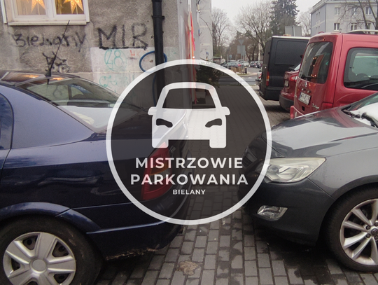 Mistrzowie parkowania #45