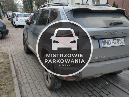 Mistrzowie parkowania #49