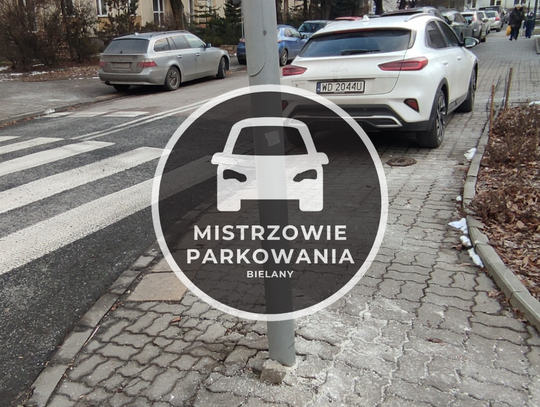 Mistrzowie parkowania #50