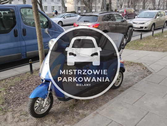 Mistrzowie parkowania #51