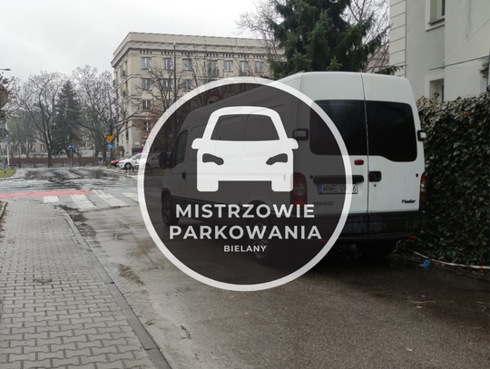 Mistrzowie parkowania #52