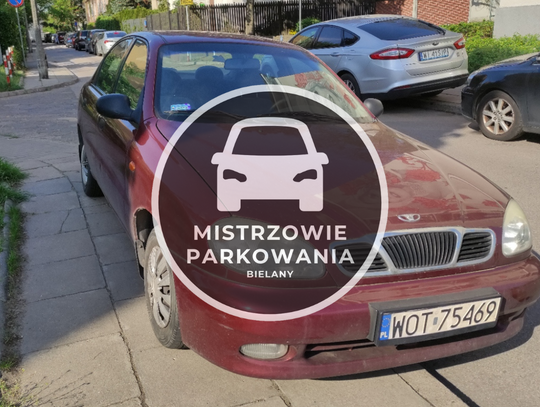 Mistrzowie parkowania #59