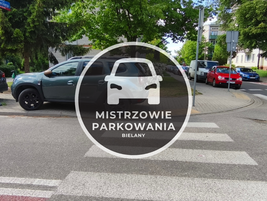 Mistrzowie parkowania #60