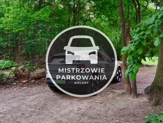 Mistrzowie parkowania #66