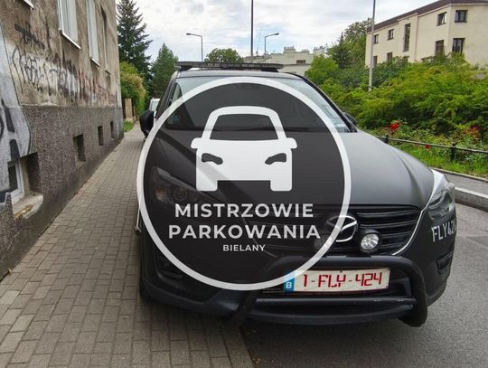 Mistrzowie parkowania #69