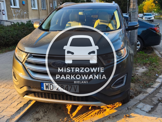 Mistrzowie parkowania #70