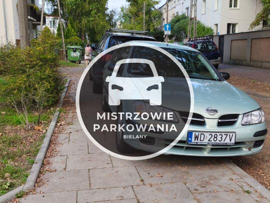 Mistrzowie parkowania #71