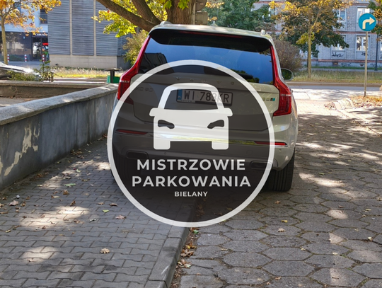 Mistrzowie parkowania #73