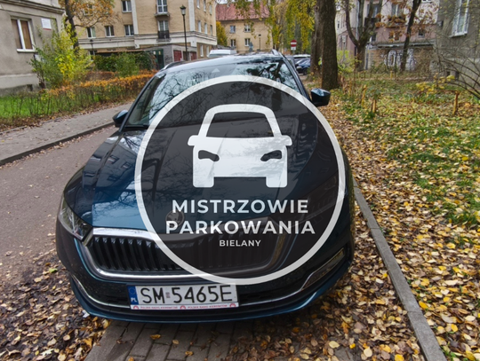 Mistrzowie parkowania #74