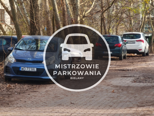 Mistrzowie parkowania #75