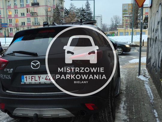 Mistrzowie parkowania #80 Mistrzowie parkowania #80