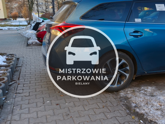 Mistrzowie parkowania #81 Mistrzowie parkowania #81