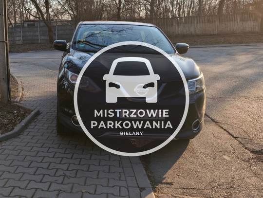 Mistrzowie parkowania #82