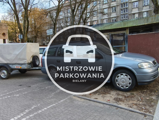 Mistrzowie parkowania #83 Mistrzowie parkowania #83