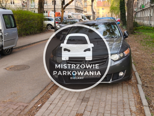 Mistrzowie parkowania #84 Mistrzowie parkowania #84