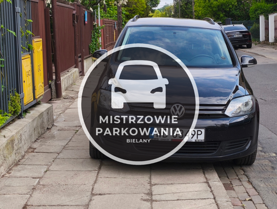 Mistrzowie parkowania #86