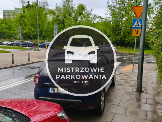Mistrzowie parkowania #87