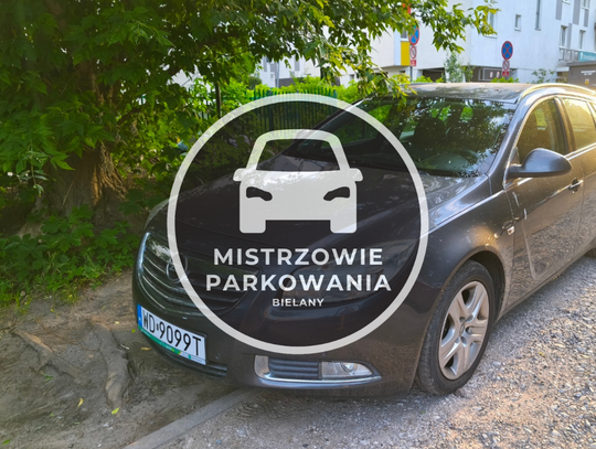 Mistrzowie parkowania #88