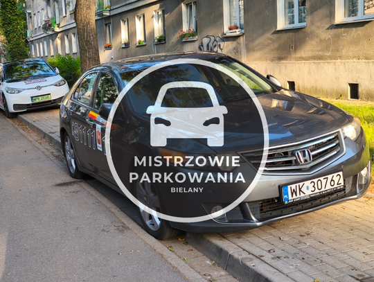 Mistrzowie parkowania #89