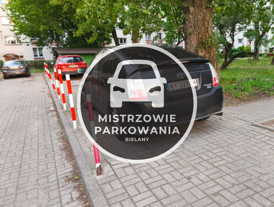 Mistrzowie parkowania #90