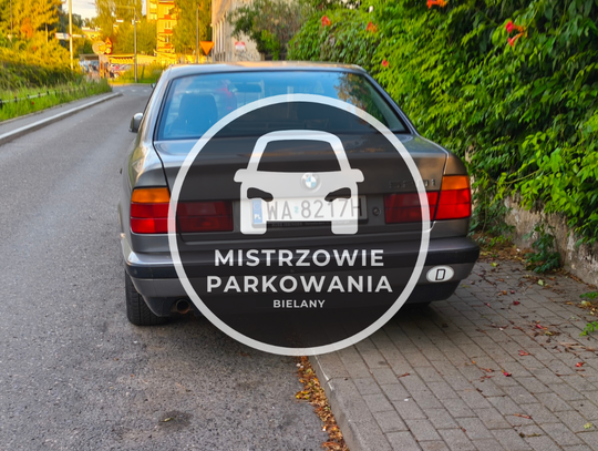 Mistrzowie parkowania #91