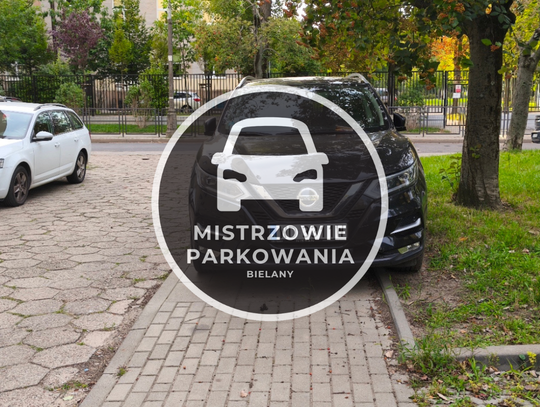 Mistrzowie parkowania #93