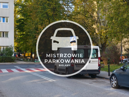 Mistrzowie parkowania #95