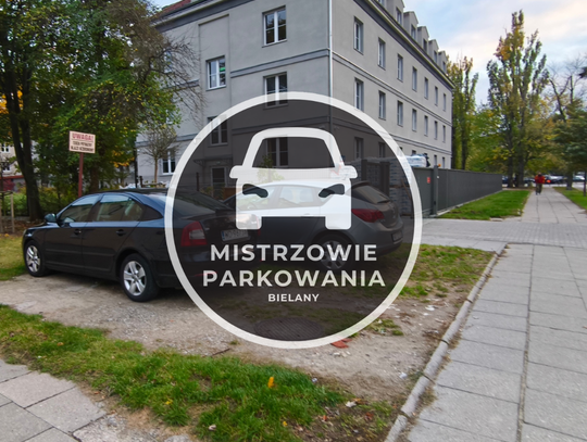 Mistrzowie parkowania #96