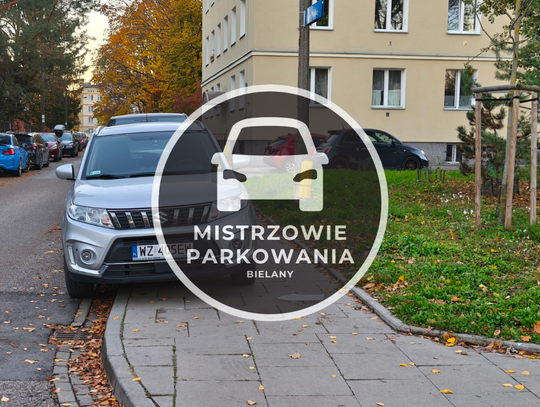 Mistrzowie parkowania #97